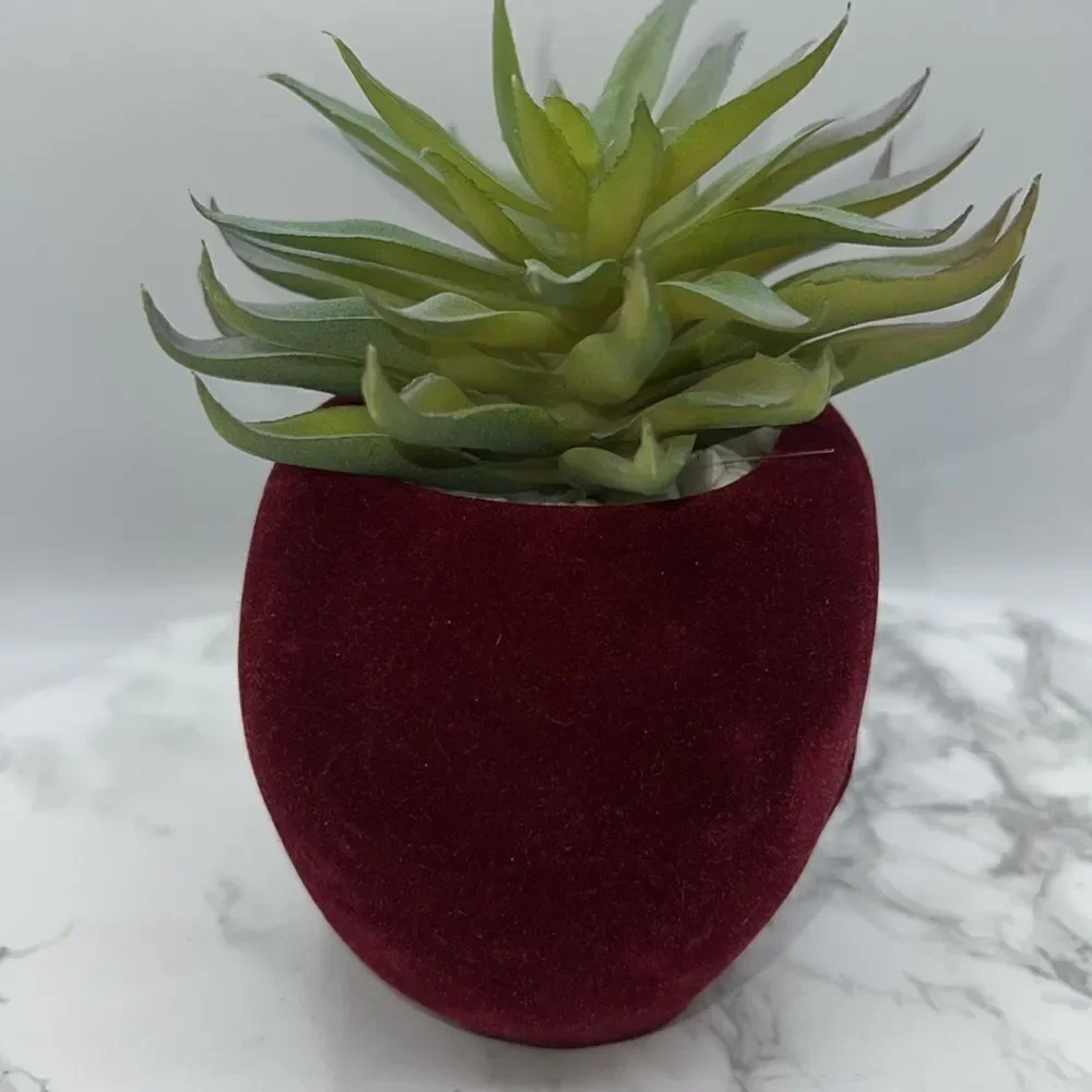 FLORA BUNDA Flocked Velvet Skull Planter with Artificial Succulent